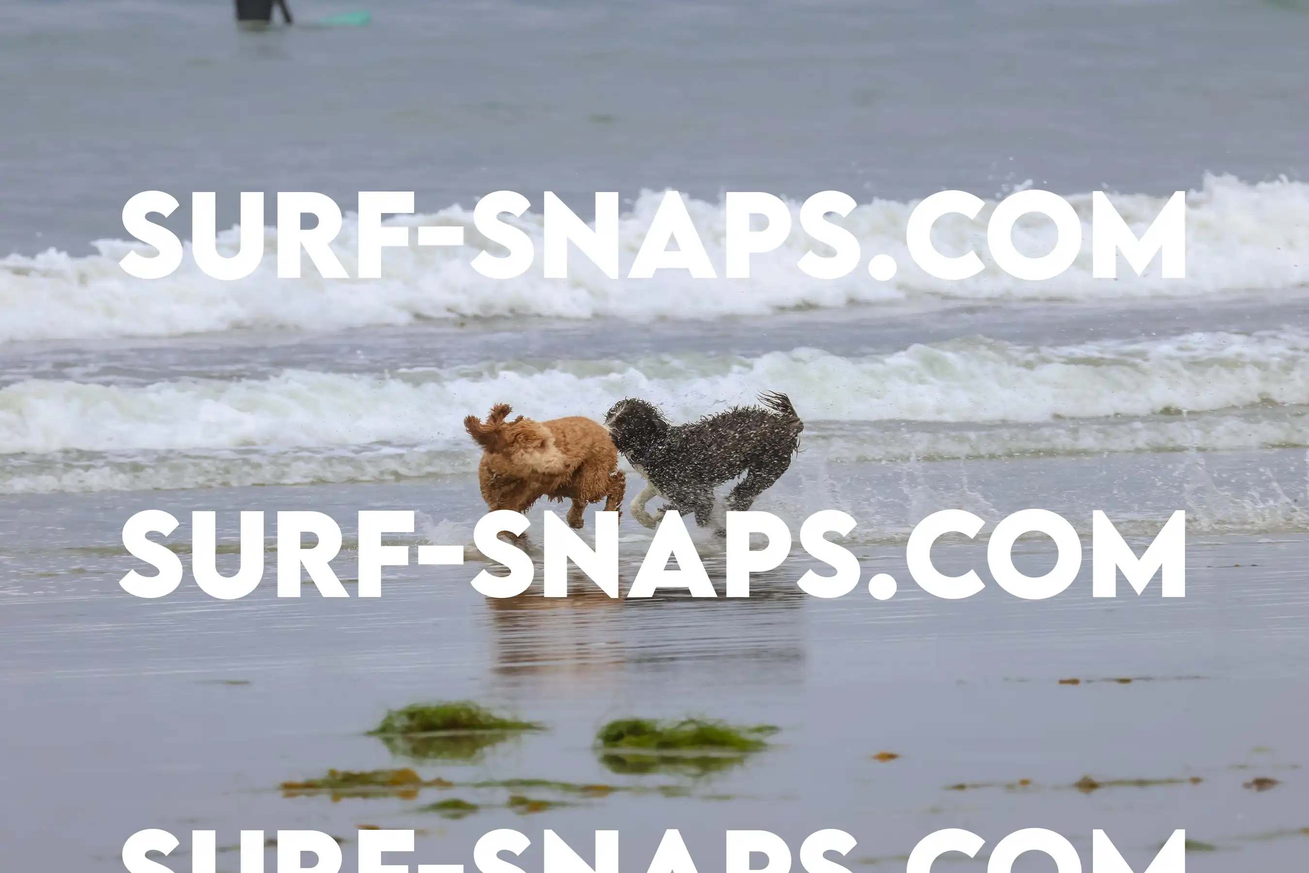 tourmaline Surf park photo 348
