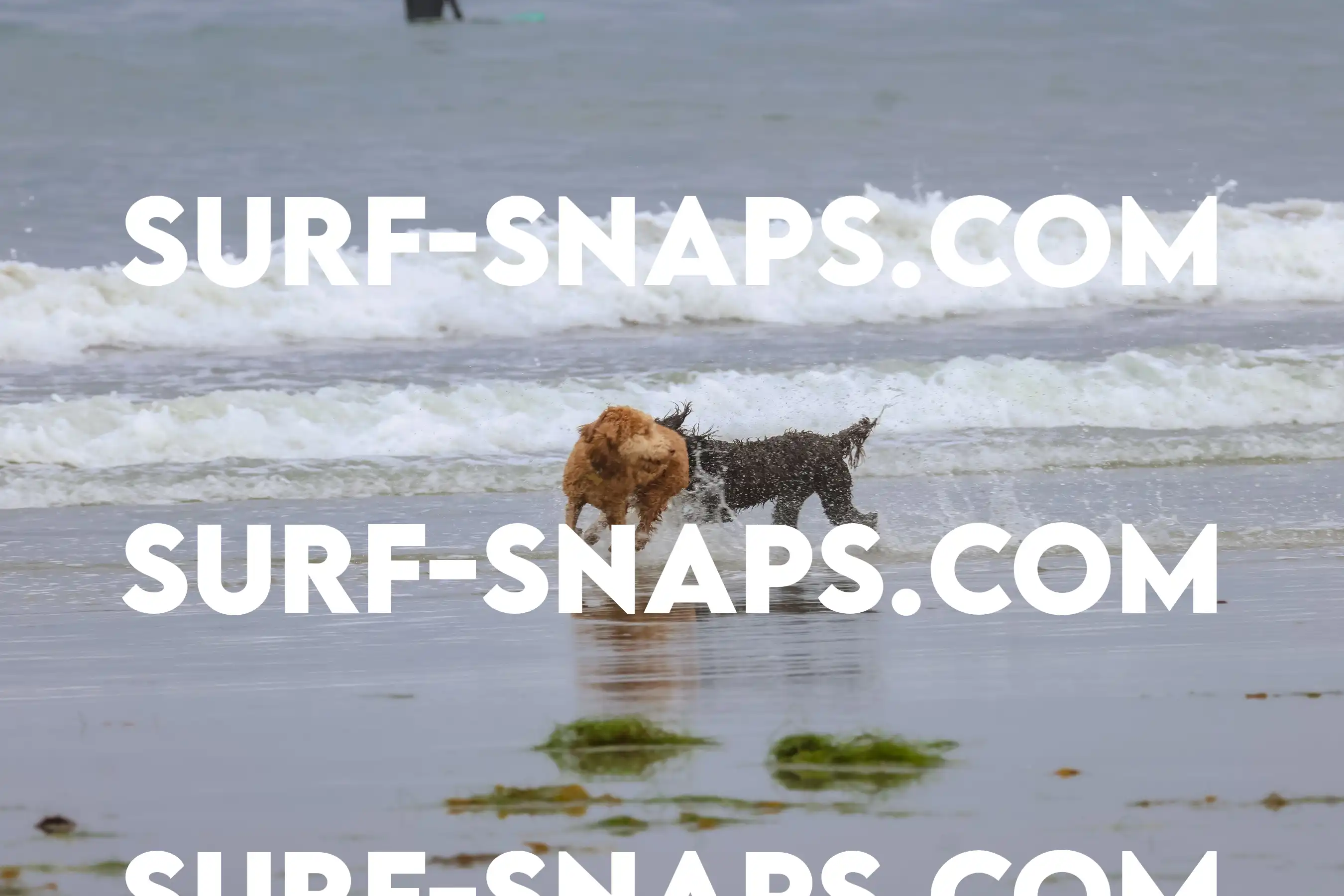 tourmaline Surf park photo 349