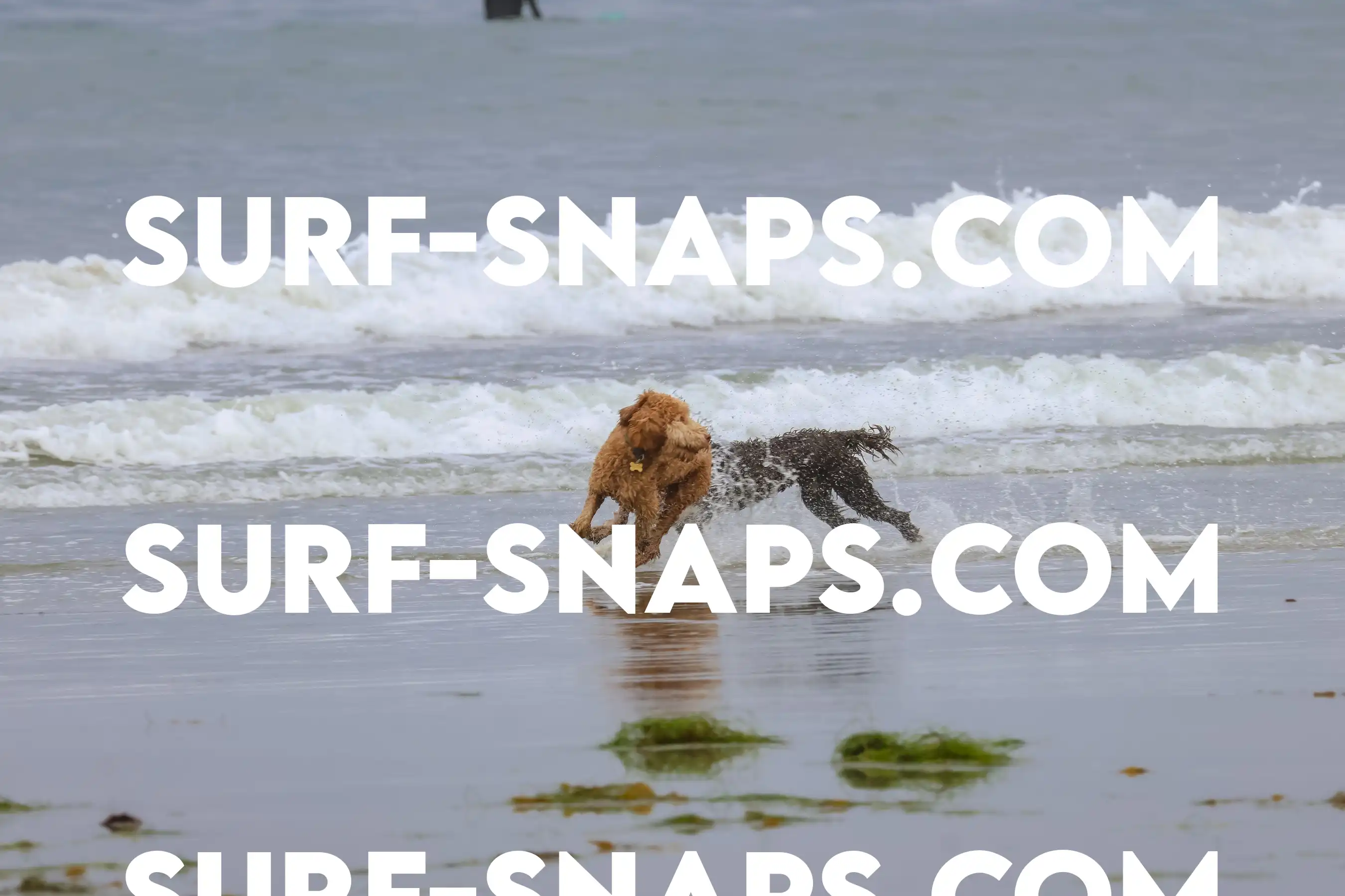 tourmaline Surf park photo 350