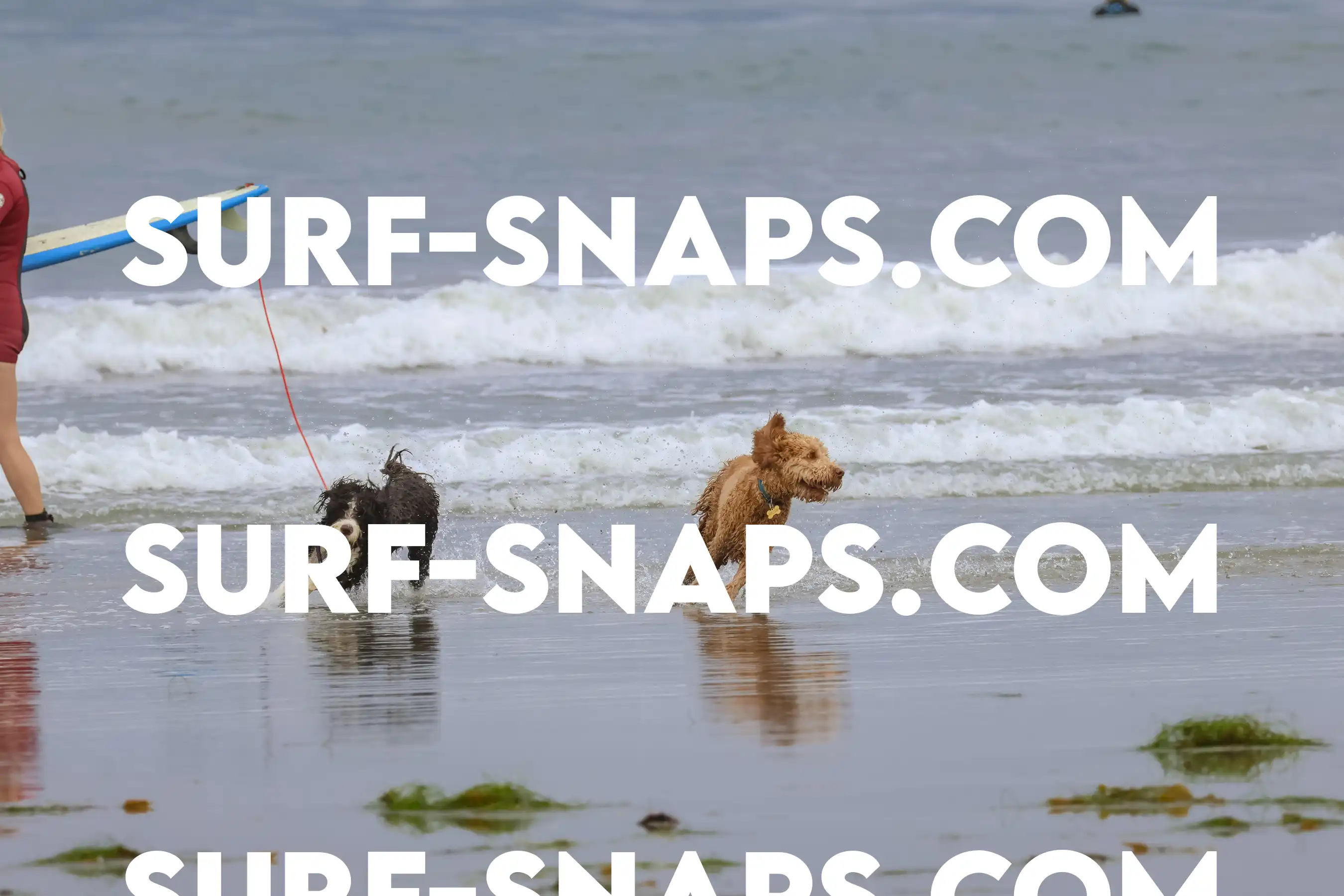 tourmaline Surf park photo 358