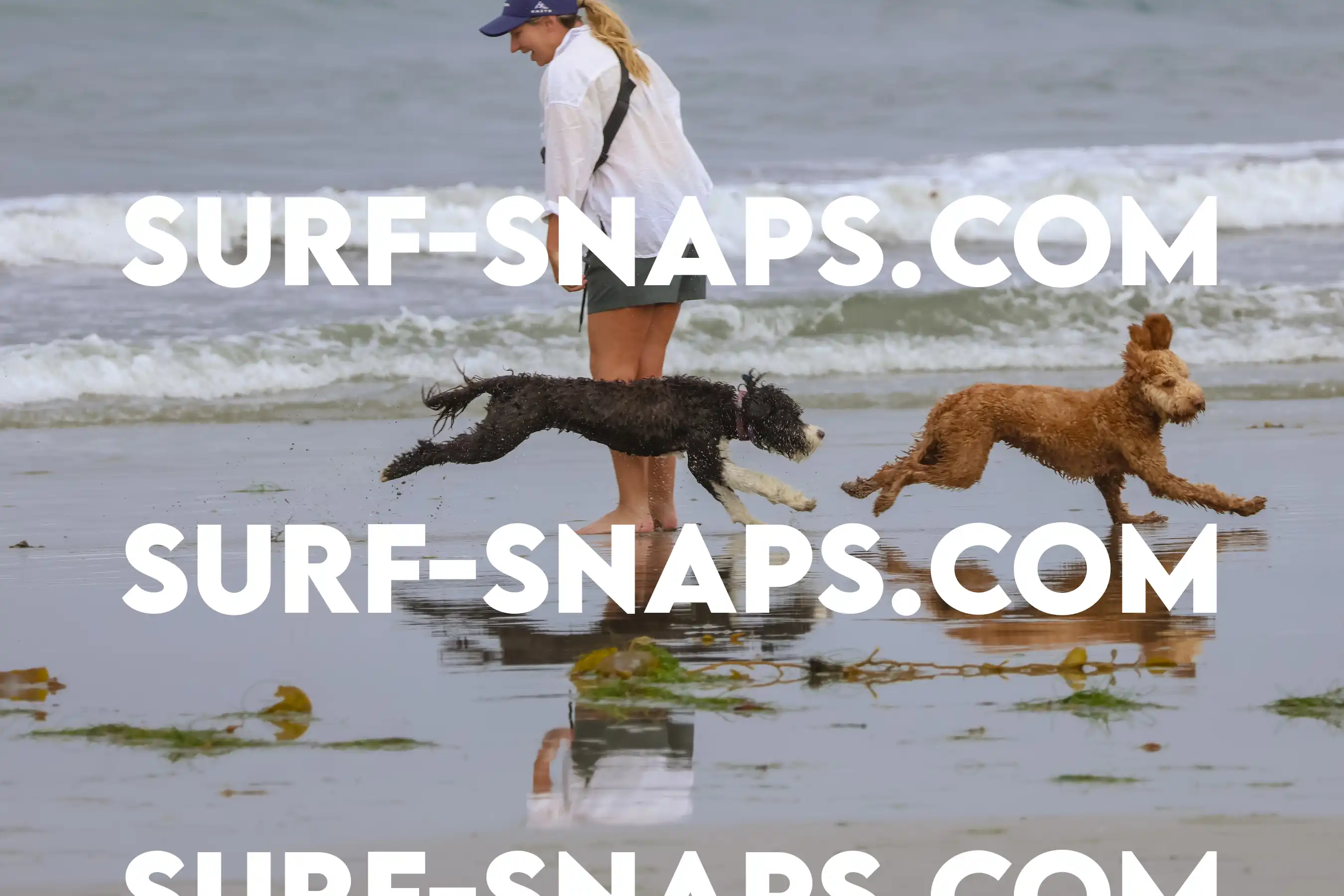 tourmaline Surf park photo 361