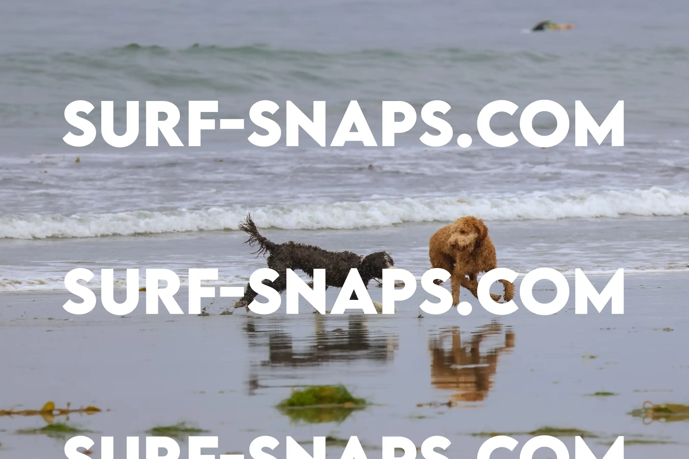 tourmaline Surf park photo 365