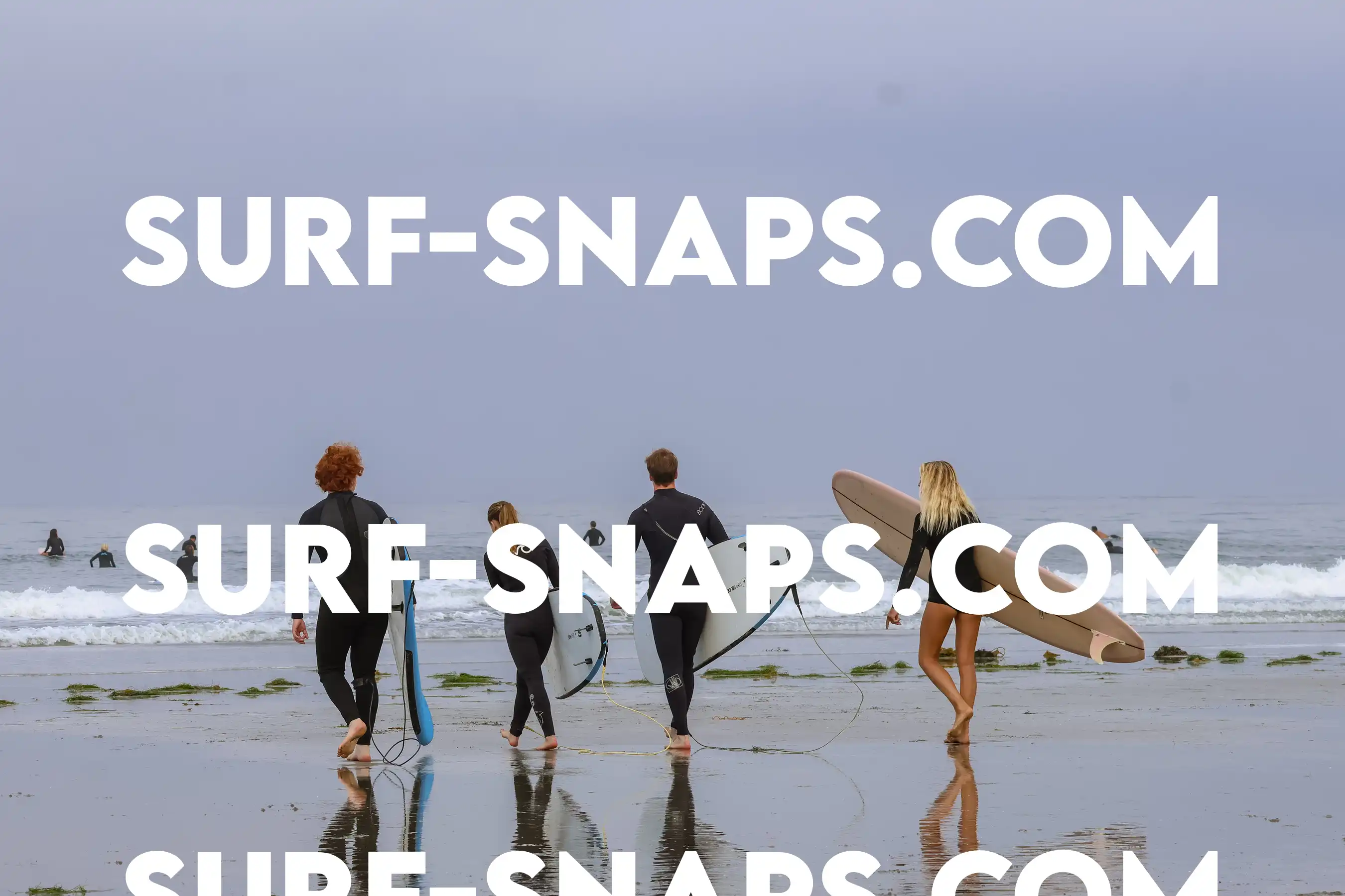 tourmaline Surf park photo 411