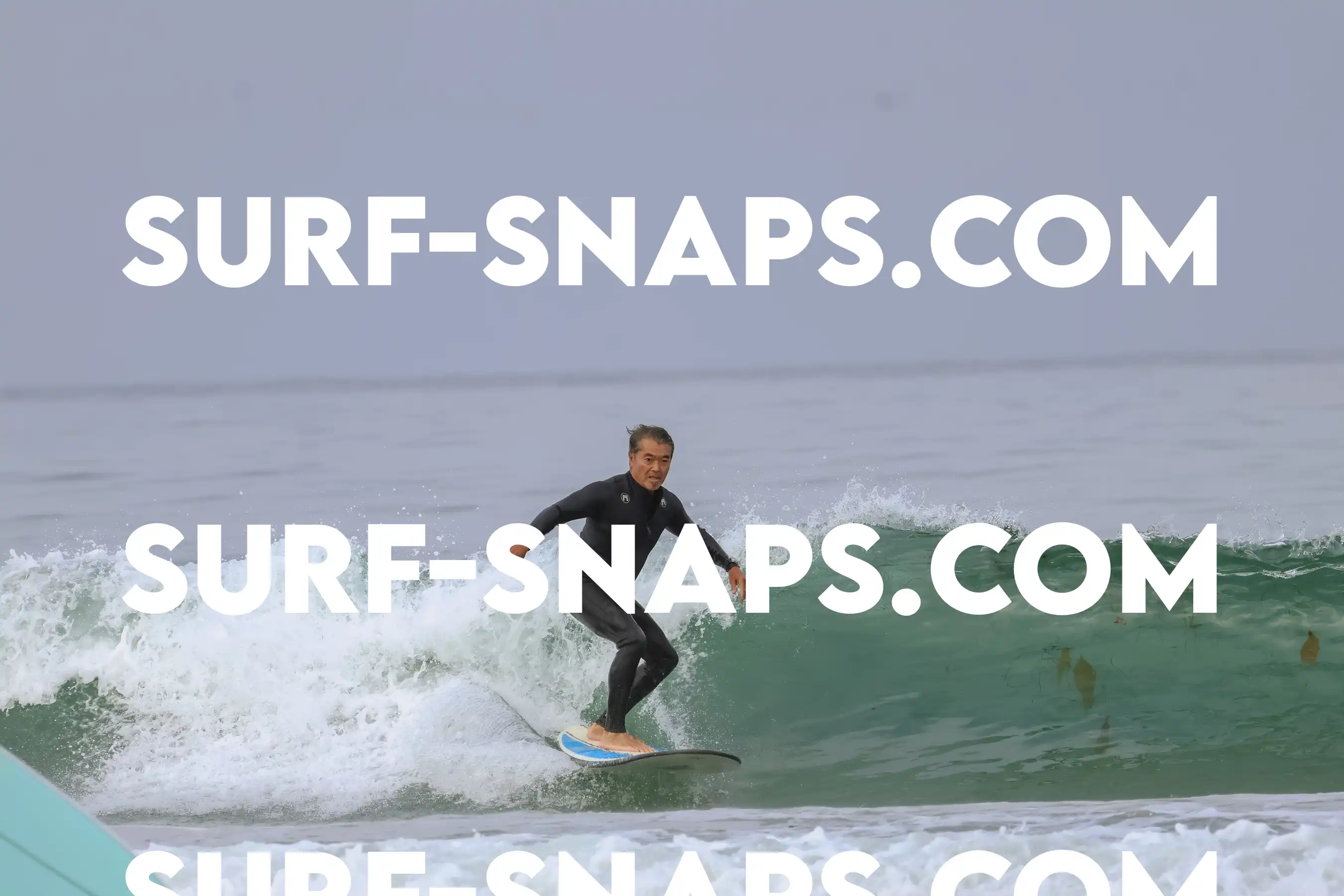 tourmaline Surf park photo 418