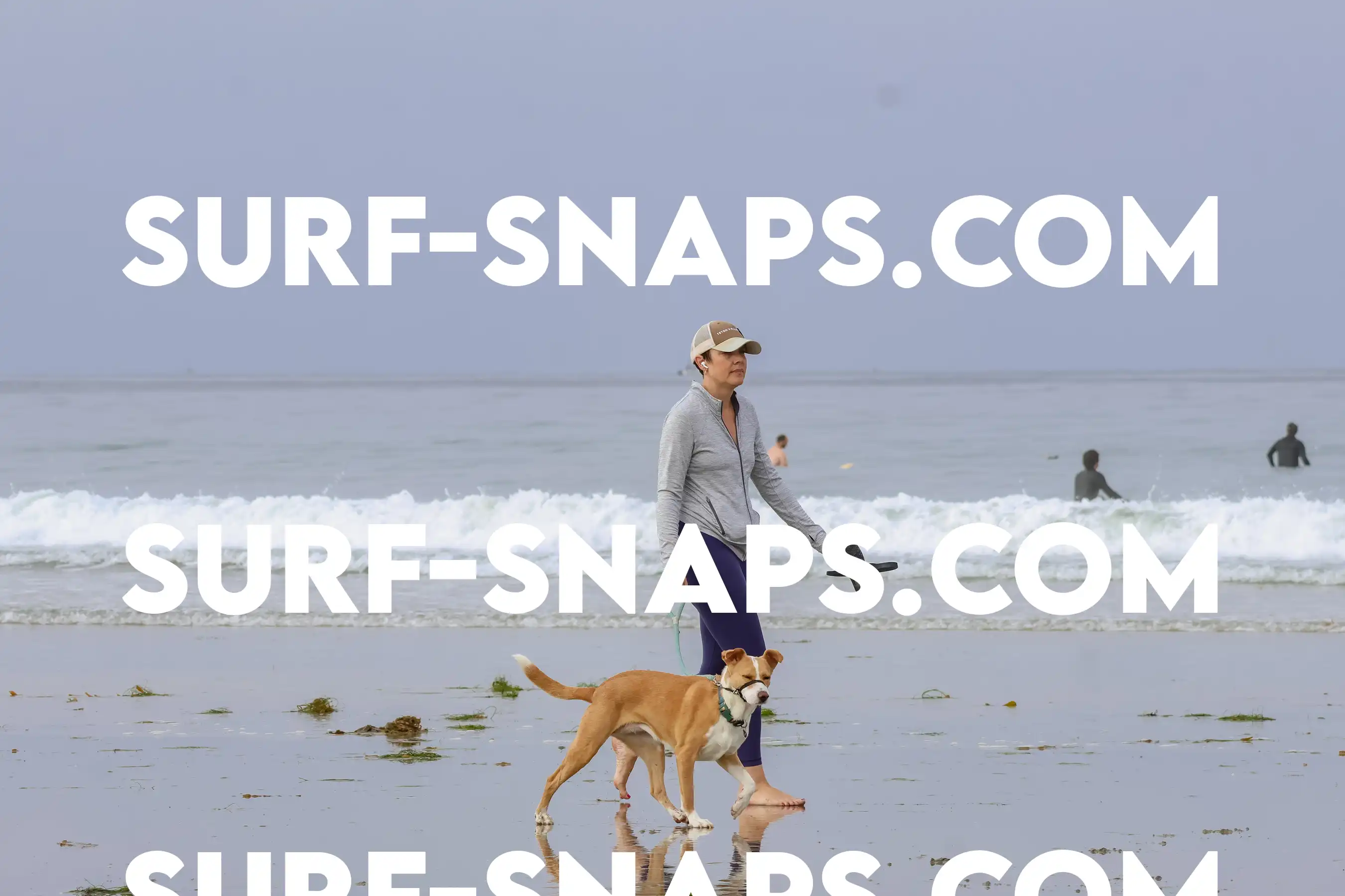 tourmaline Surf park photo 445