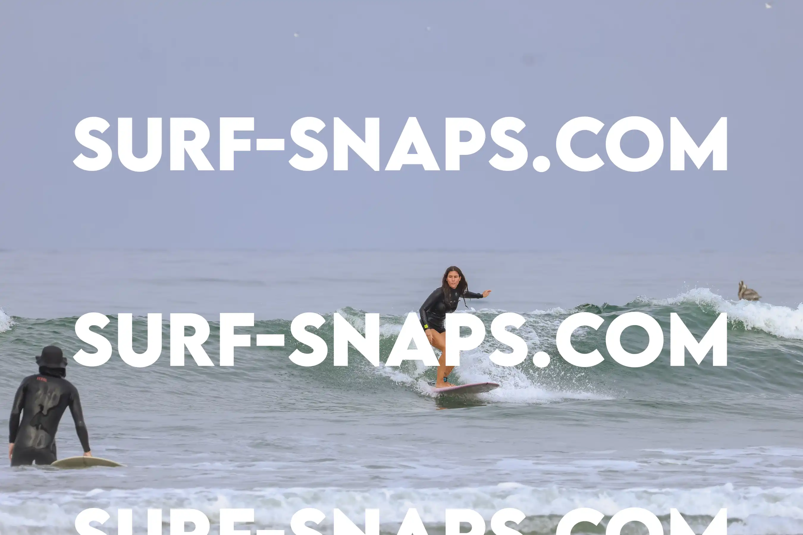 tourmaline Surf park photo 449
