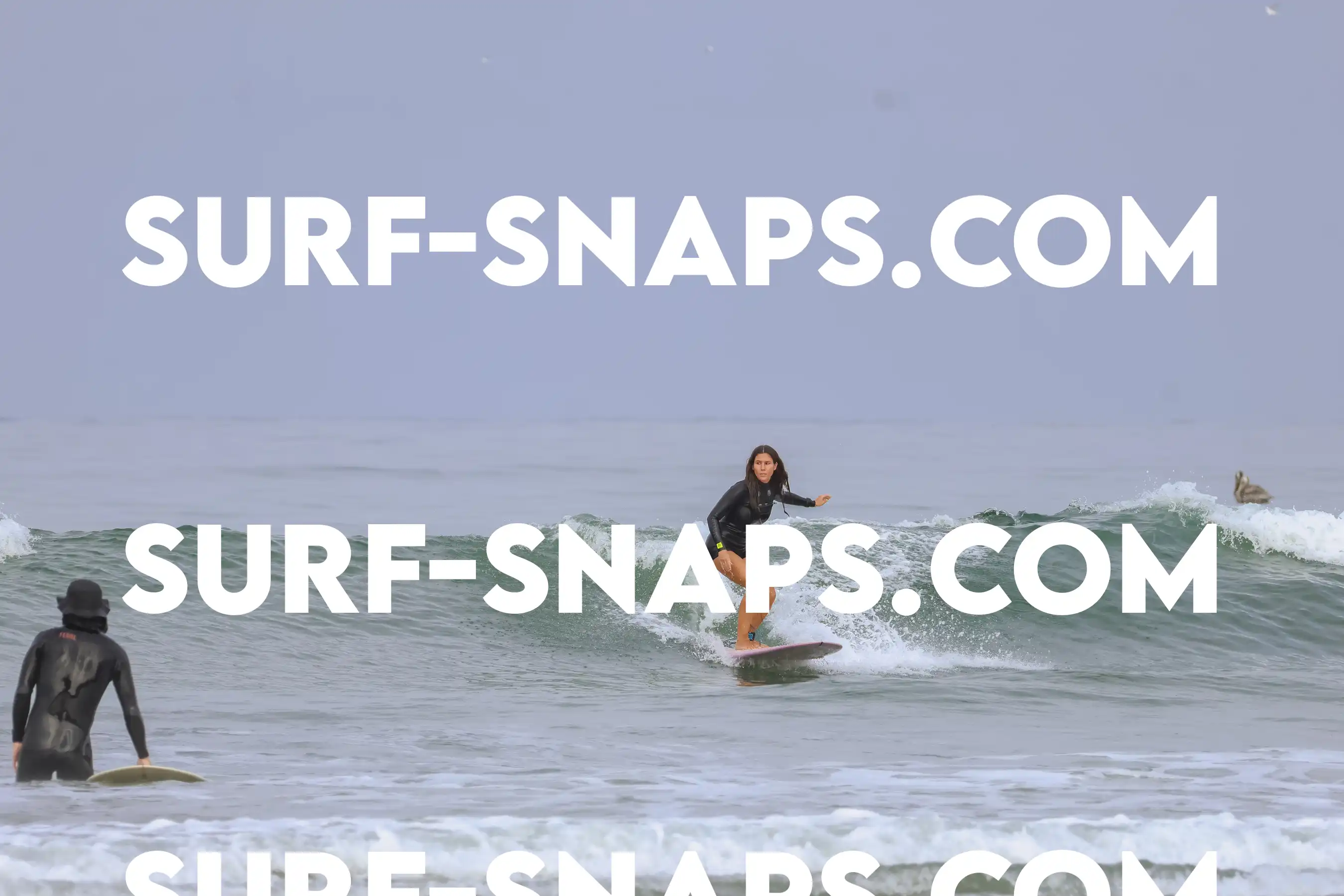 tourmaline Surf park photo 450