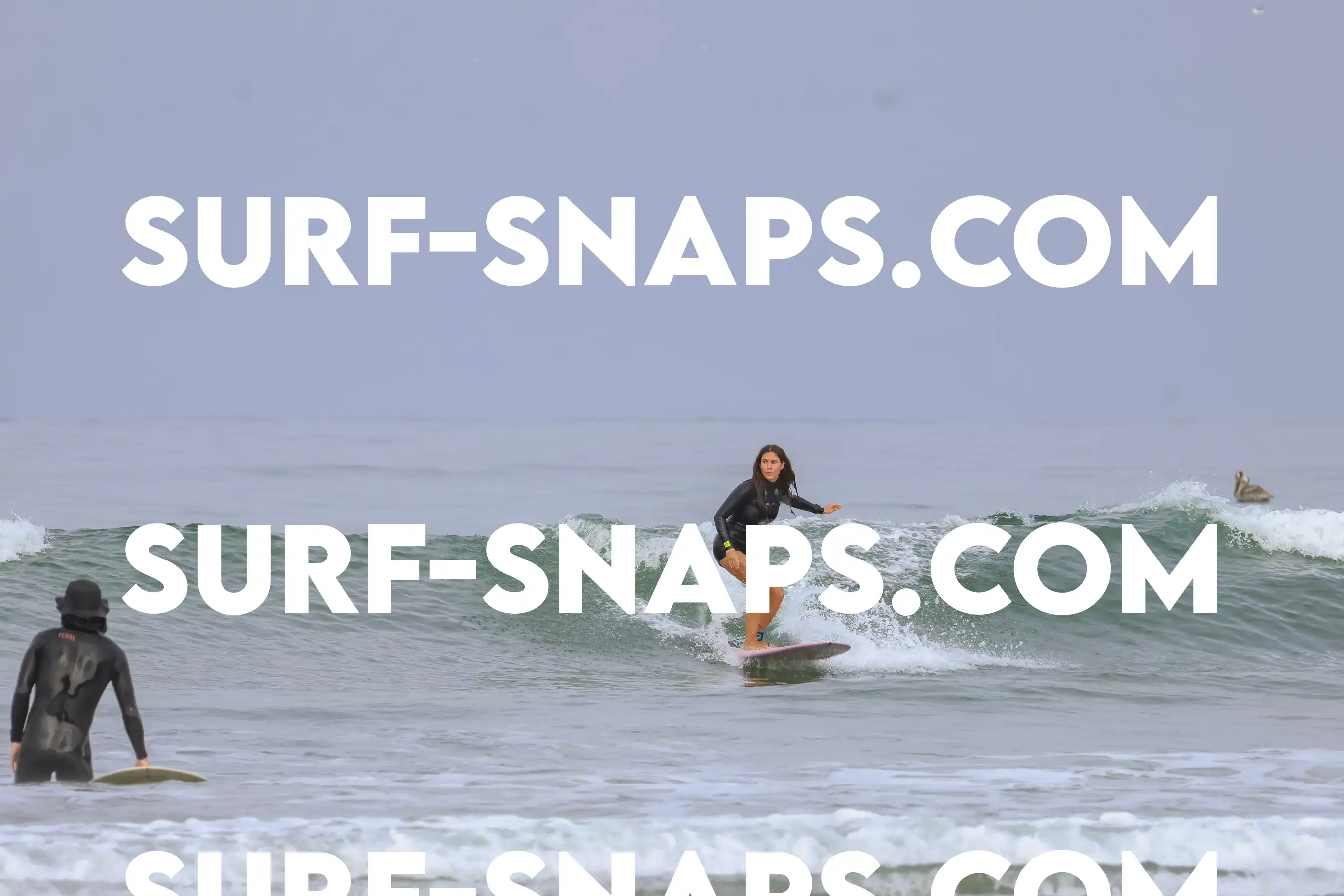 tourmaline Surf park photo 451