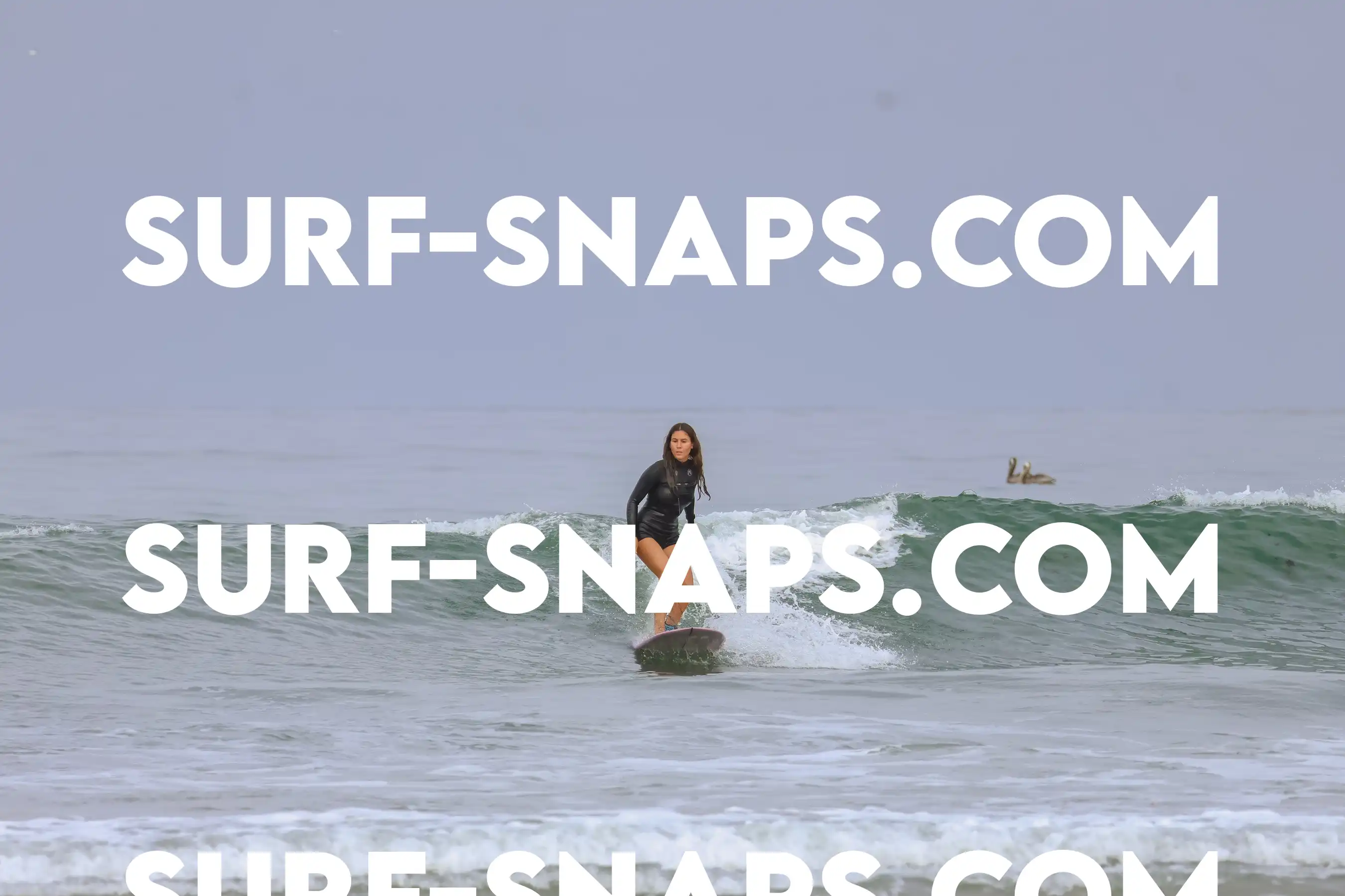 tourmaline Surf park photo 456