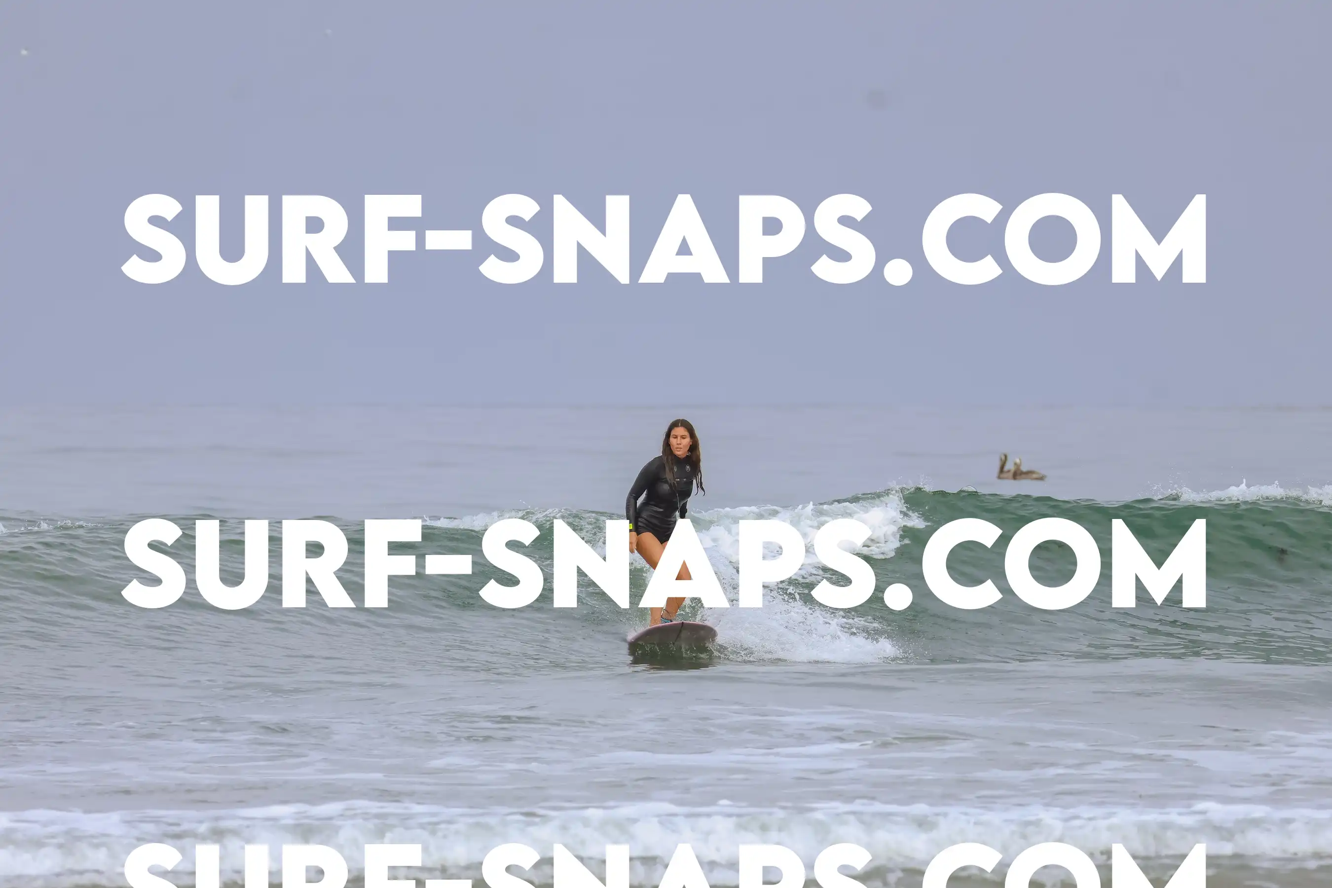 tourmaline Surf park photo 457