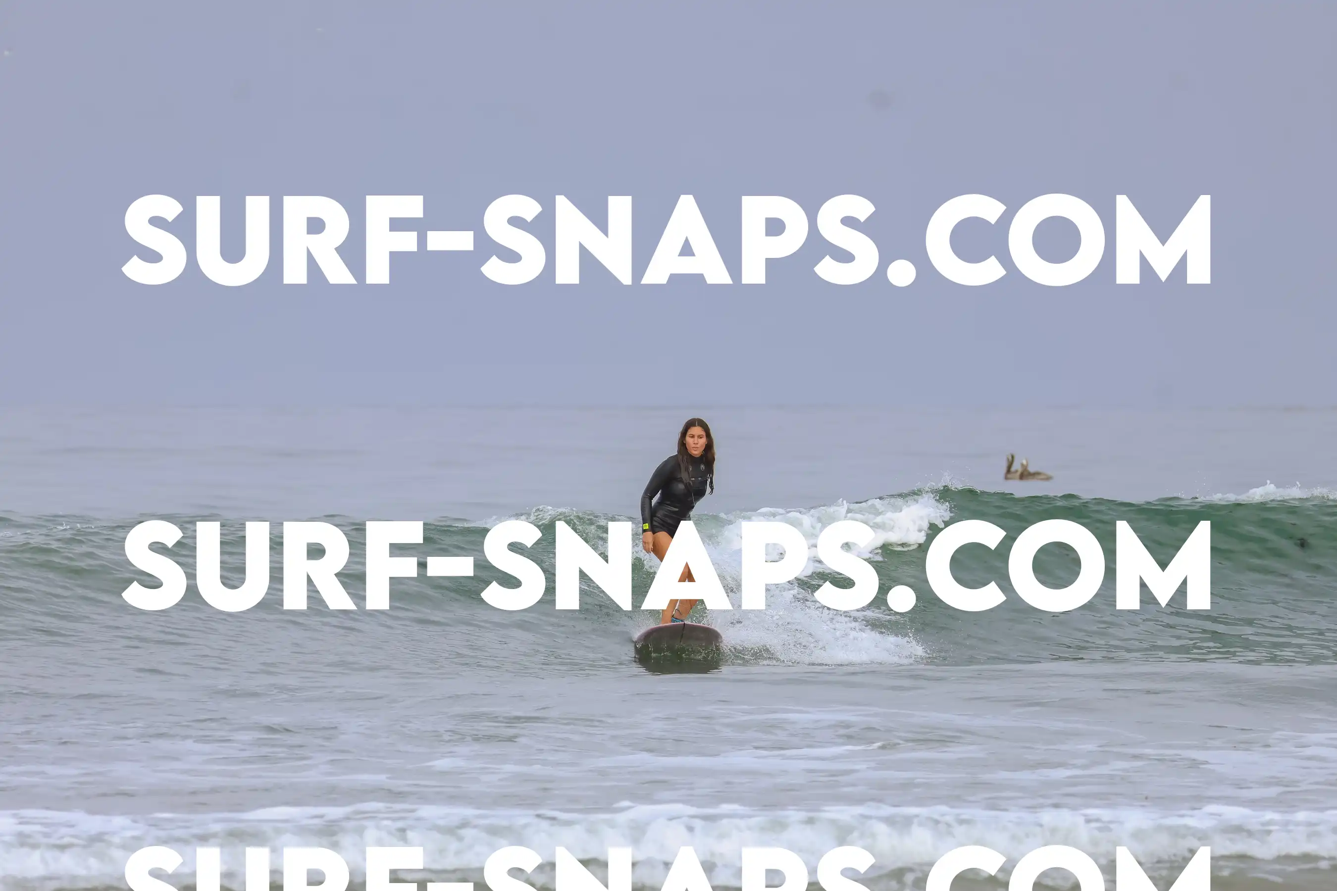 tourmaline Surf park photo 459