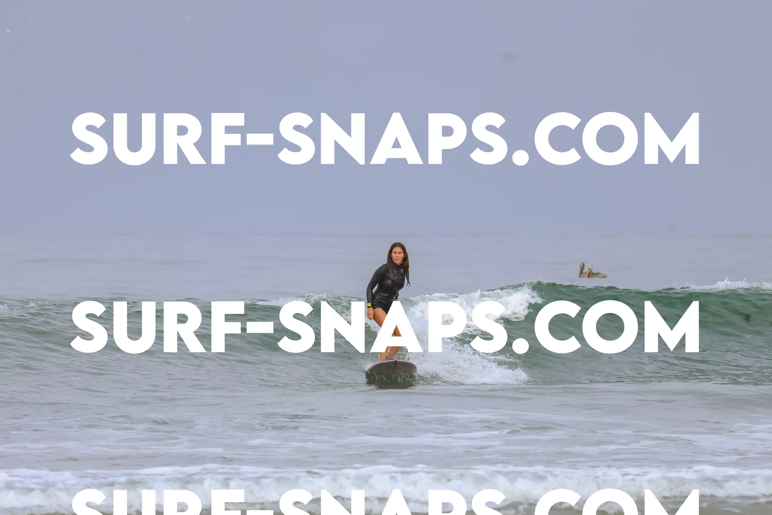 tourmaline Surf park photo 458