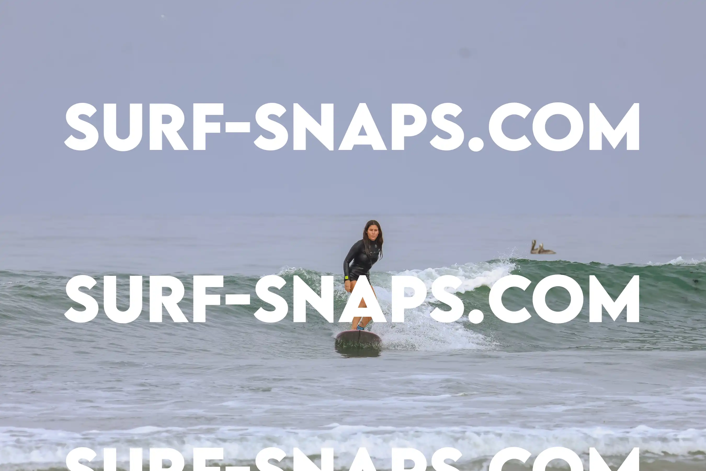 tourmaline Surf park photo 461