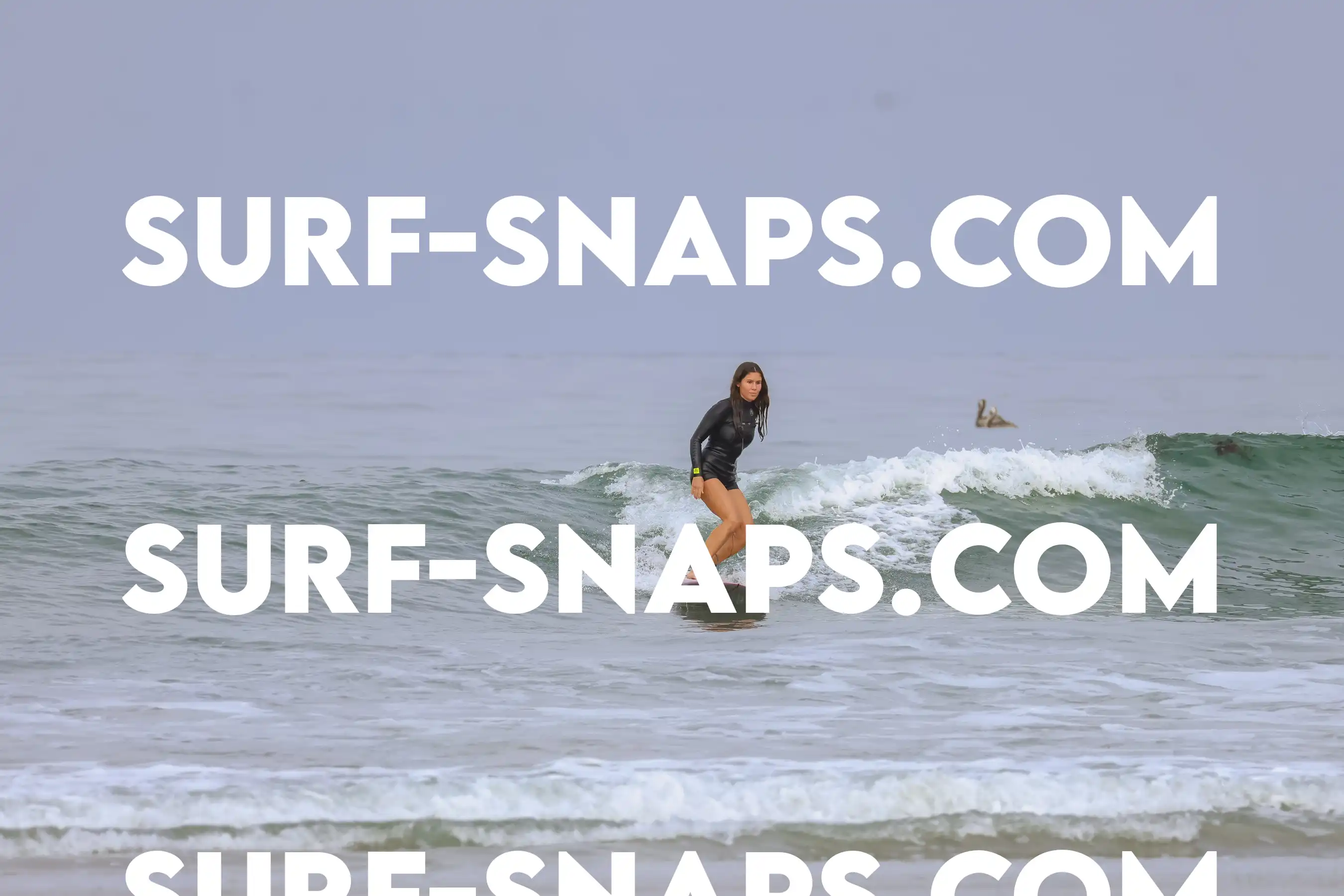 tourmaline Surf park photo 462