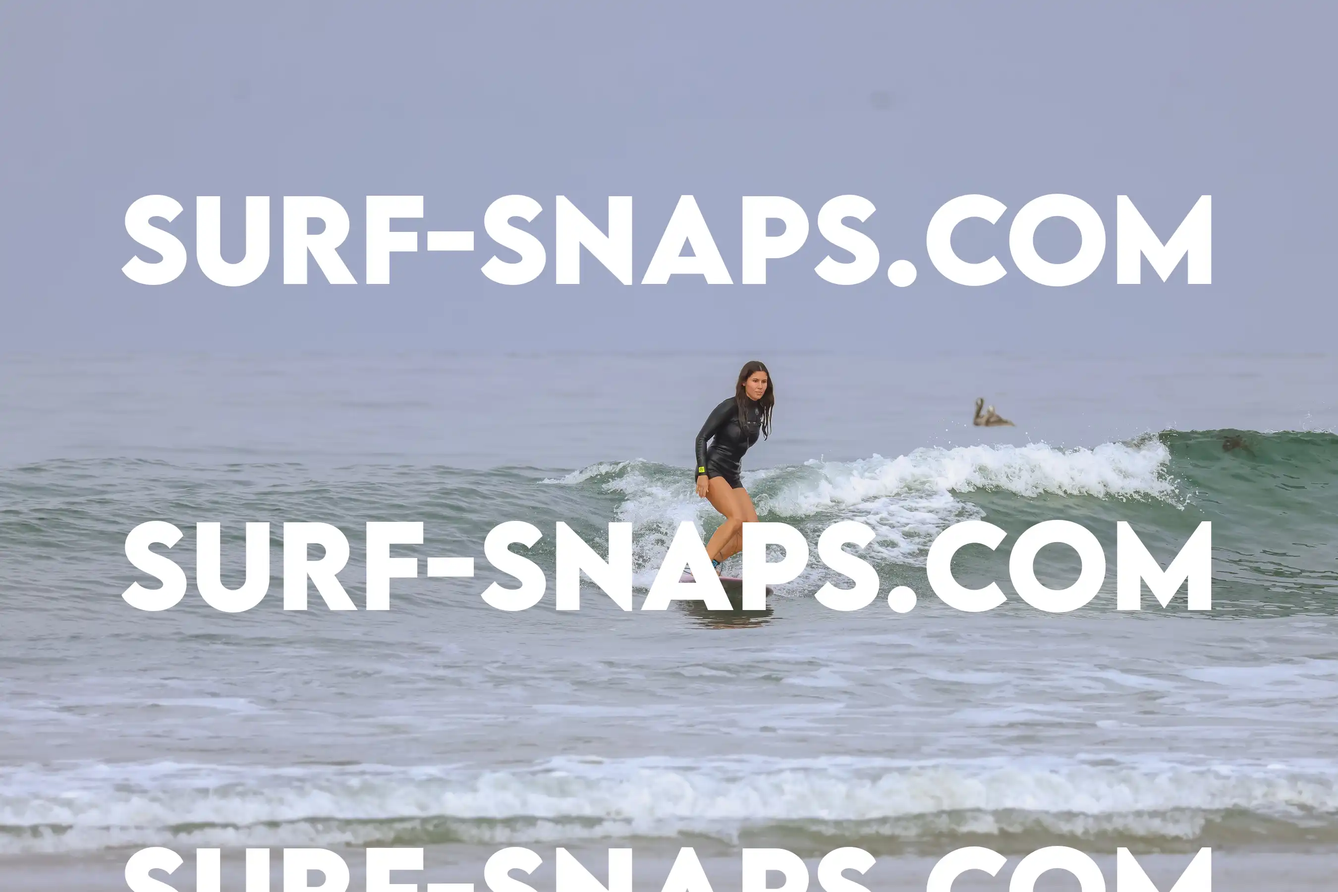 tourmaline Surf park photo 463
