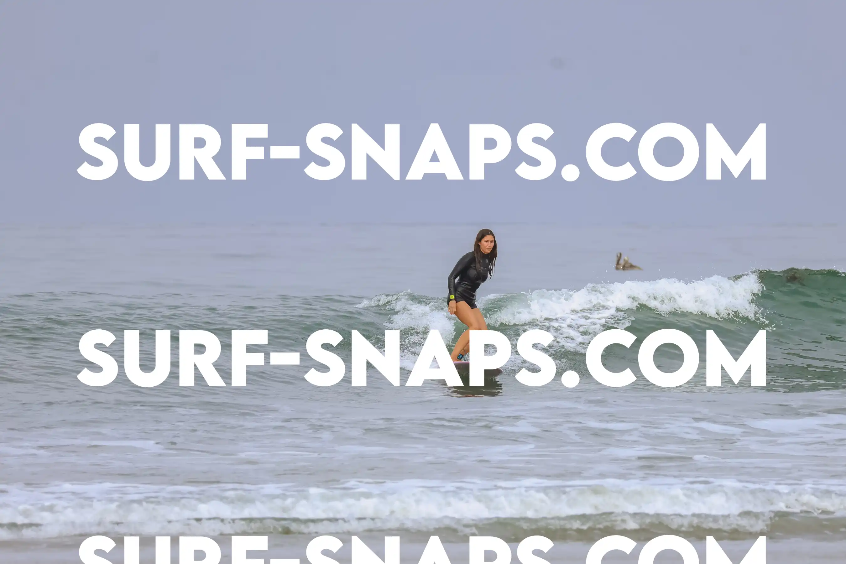 tourmaline Surf park photo 465