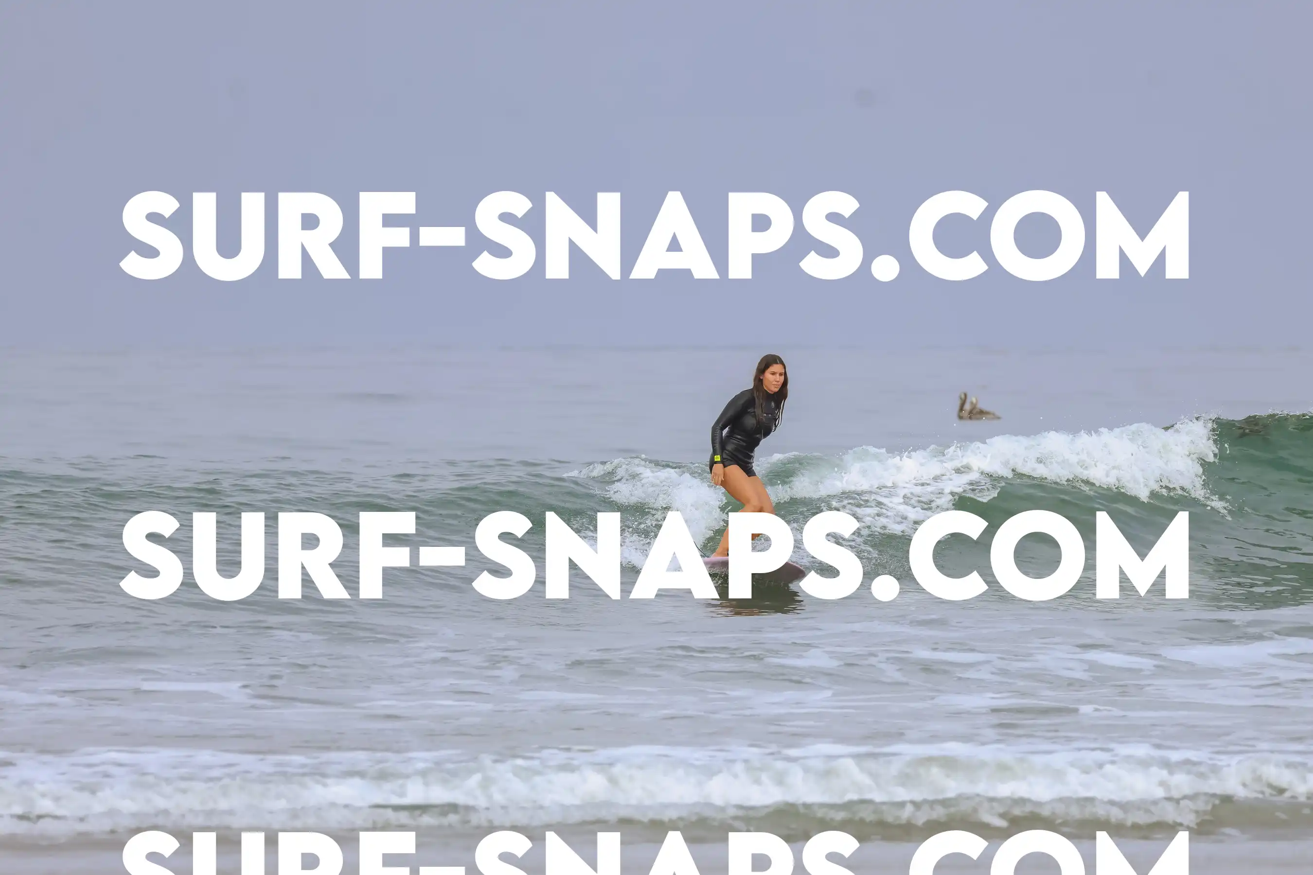 tourmaline Surf park photo 466