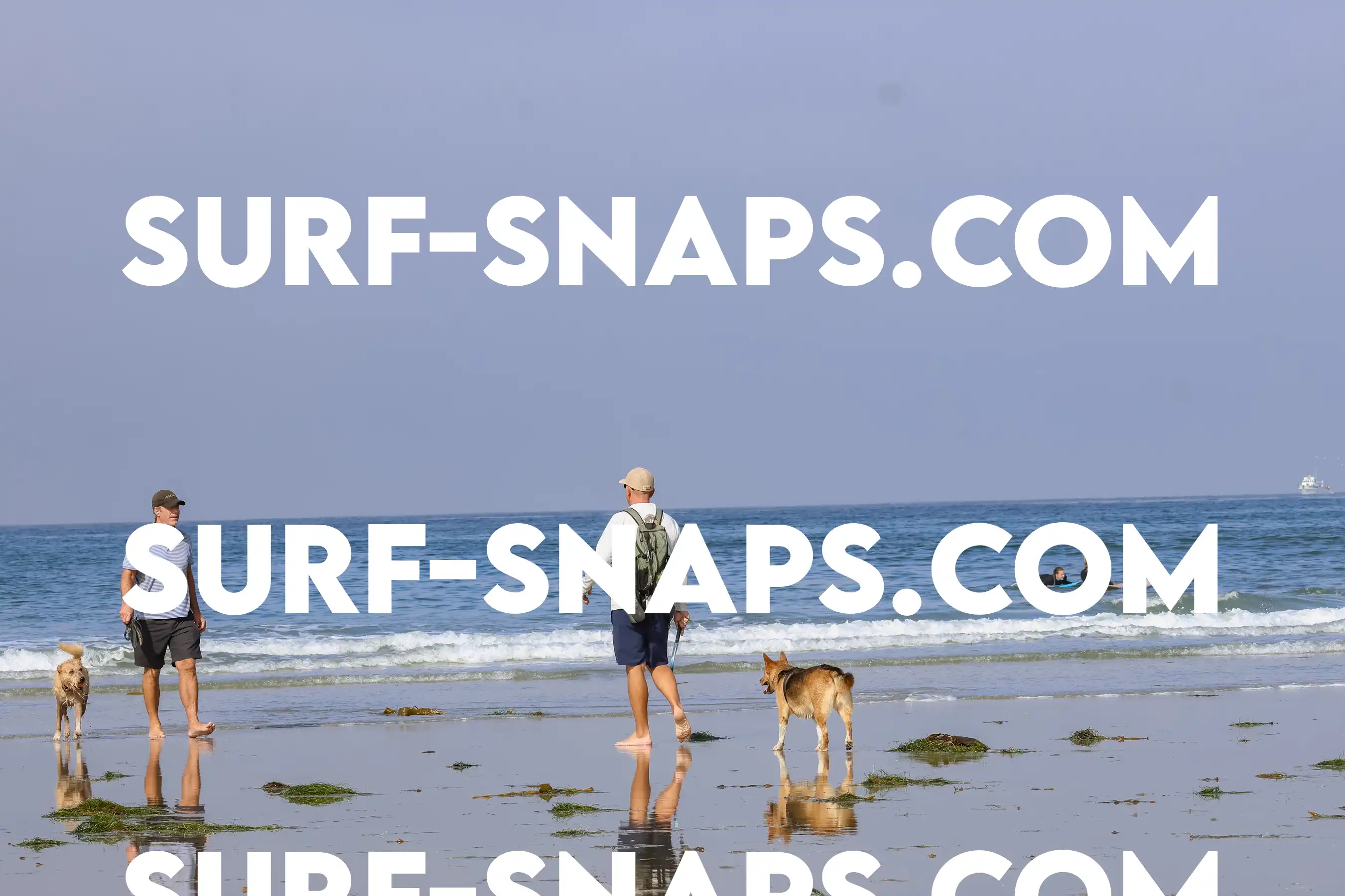tourmaline Surf park photo 150