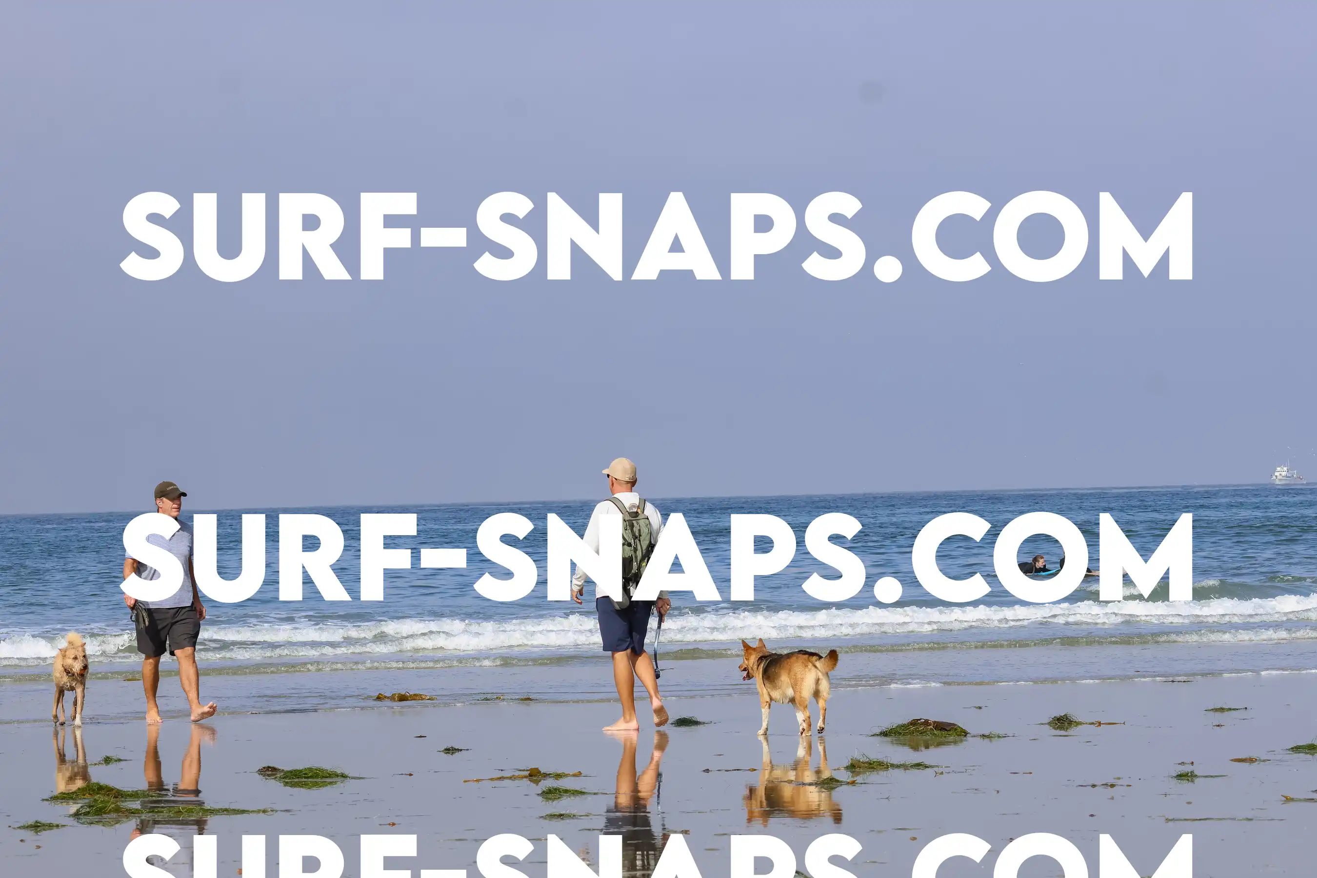 tourmaline Surf park photo 151