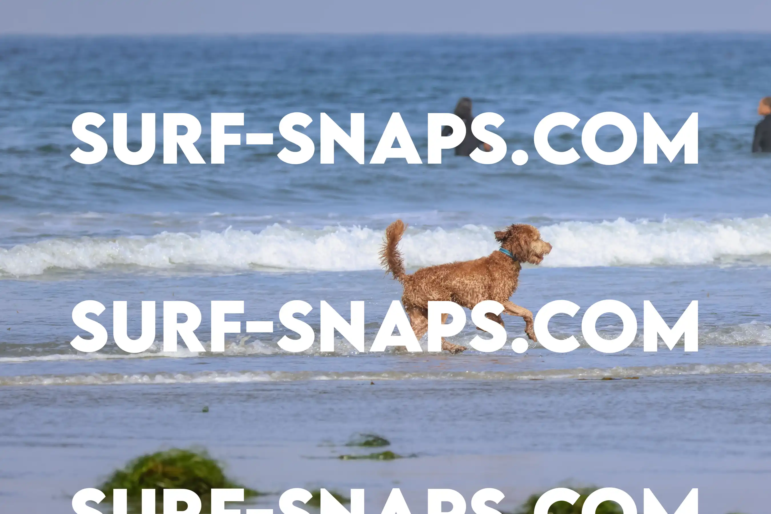 tourmaline Surf park photo 184
