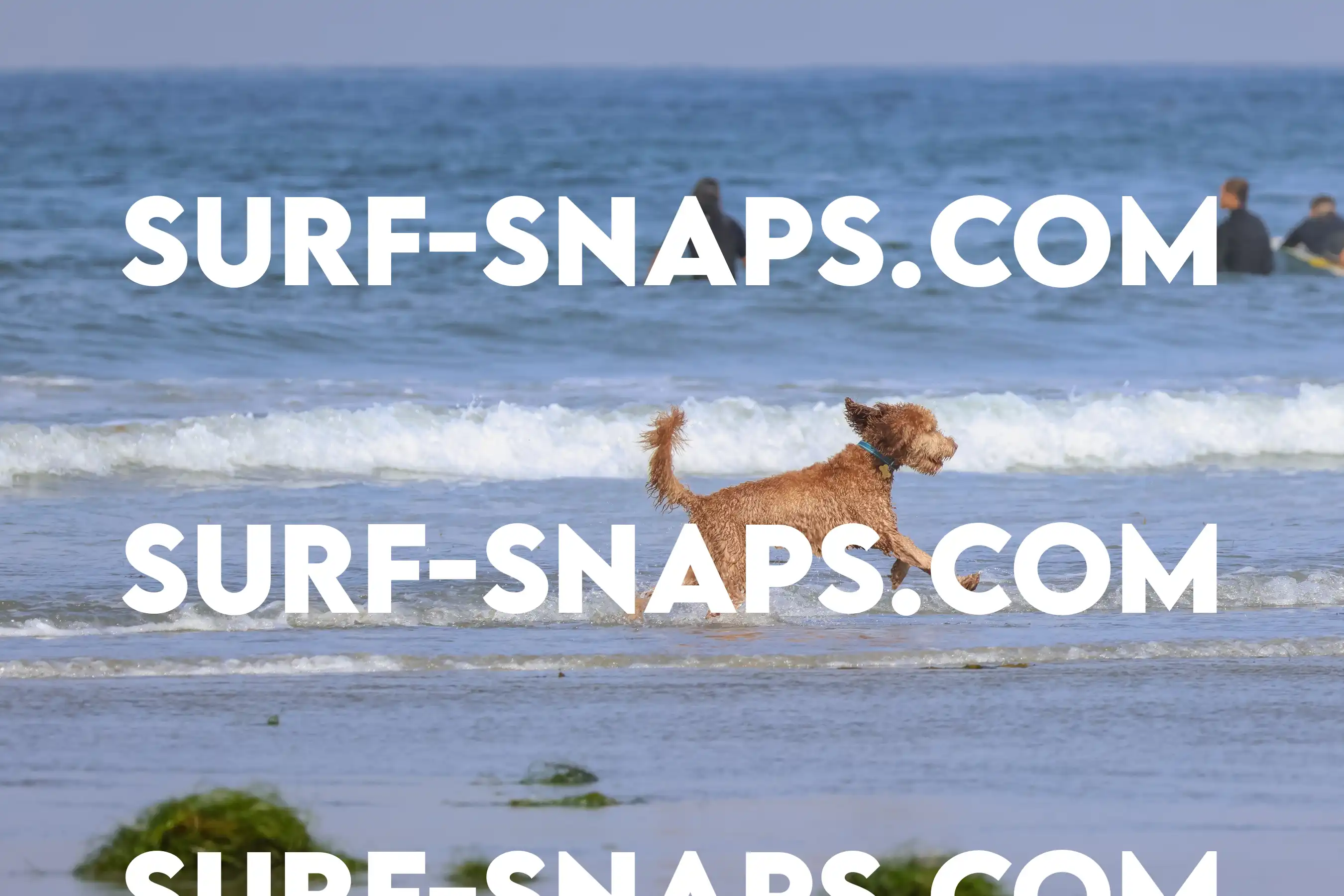 tourmaline Surf park photo 185