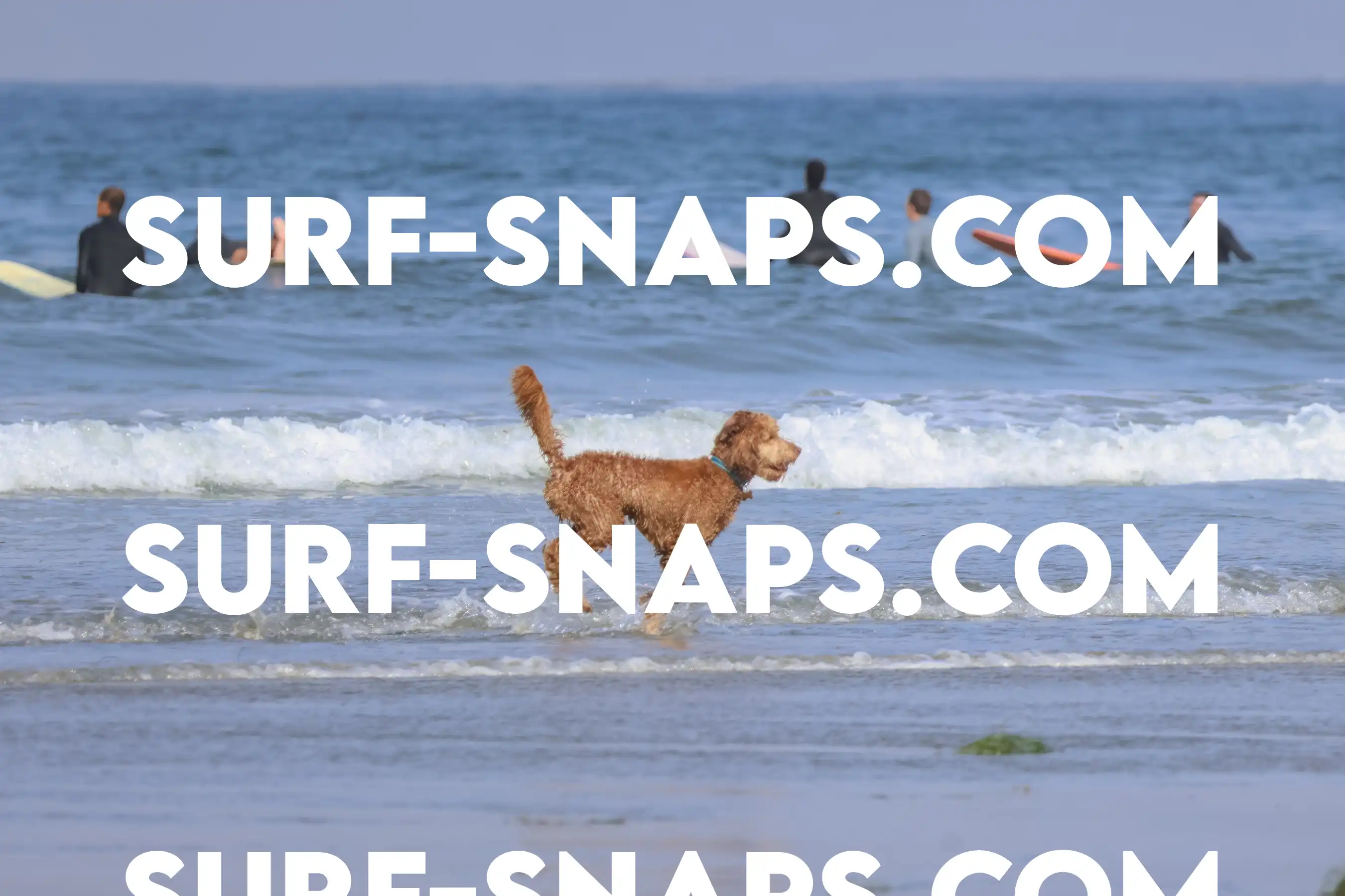 tourmaline Surf park photo 187
