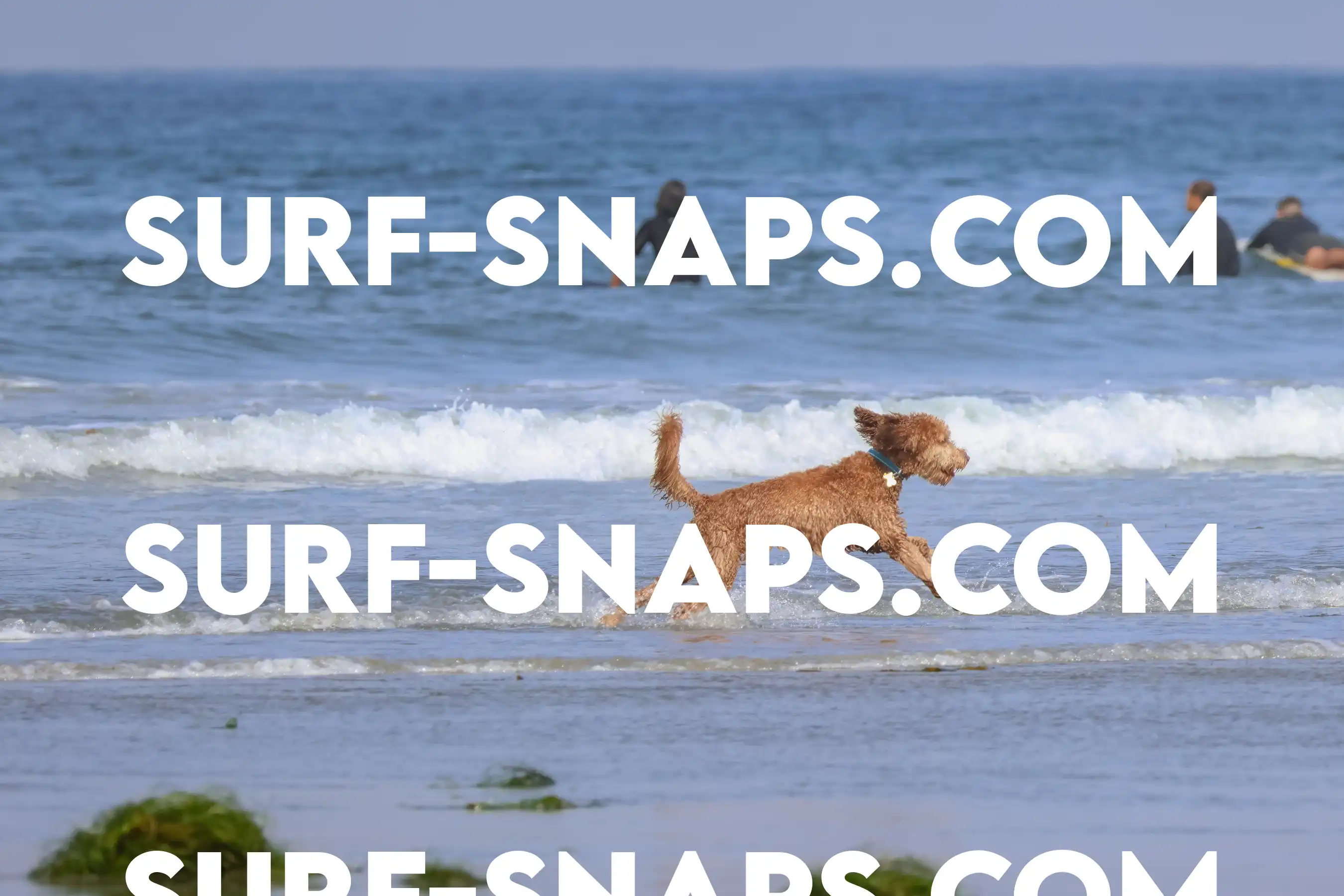 tourmaline Surf park photo 186