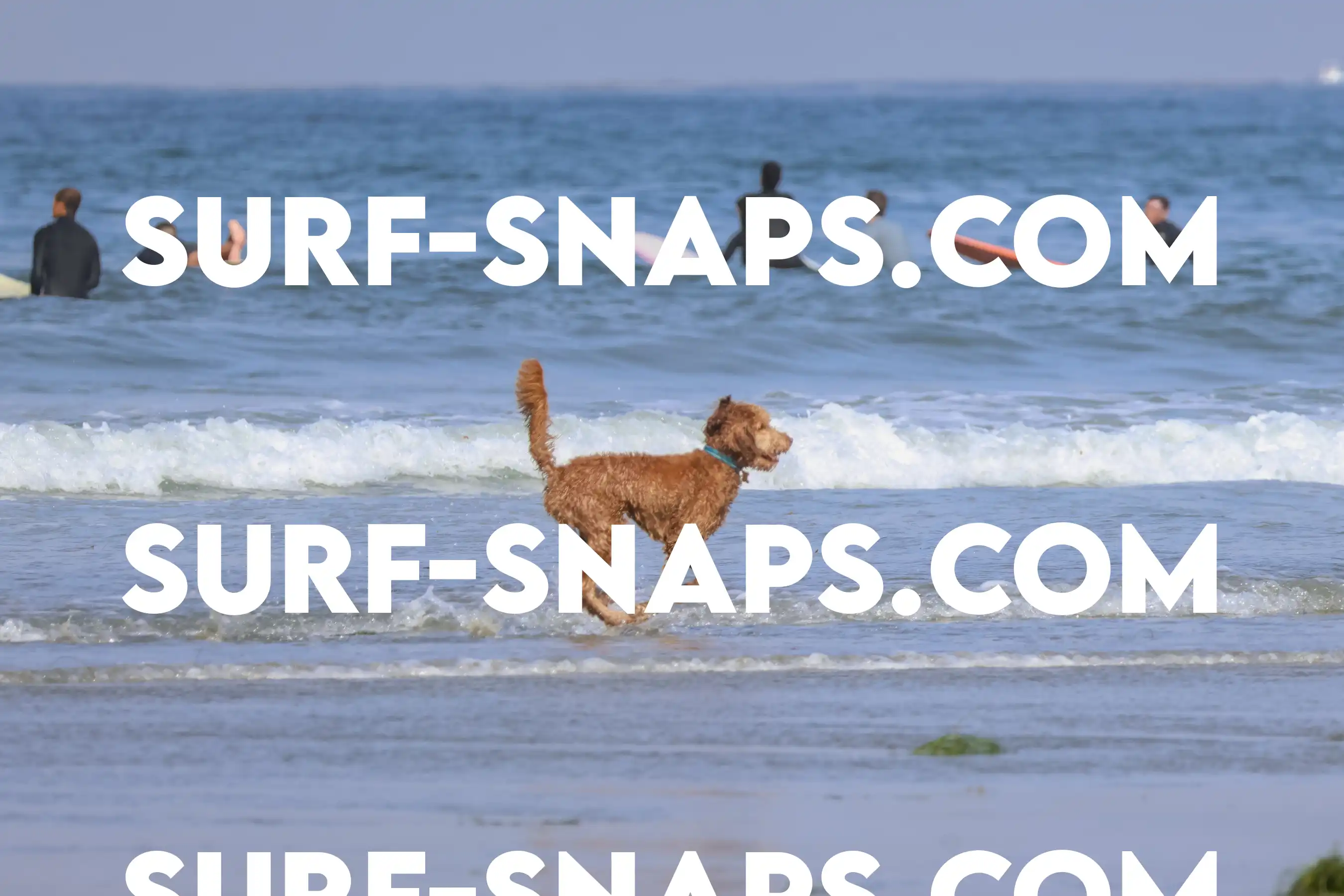 tourmaline Surf park photo 188