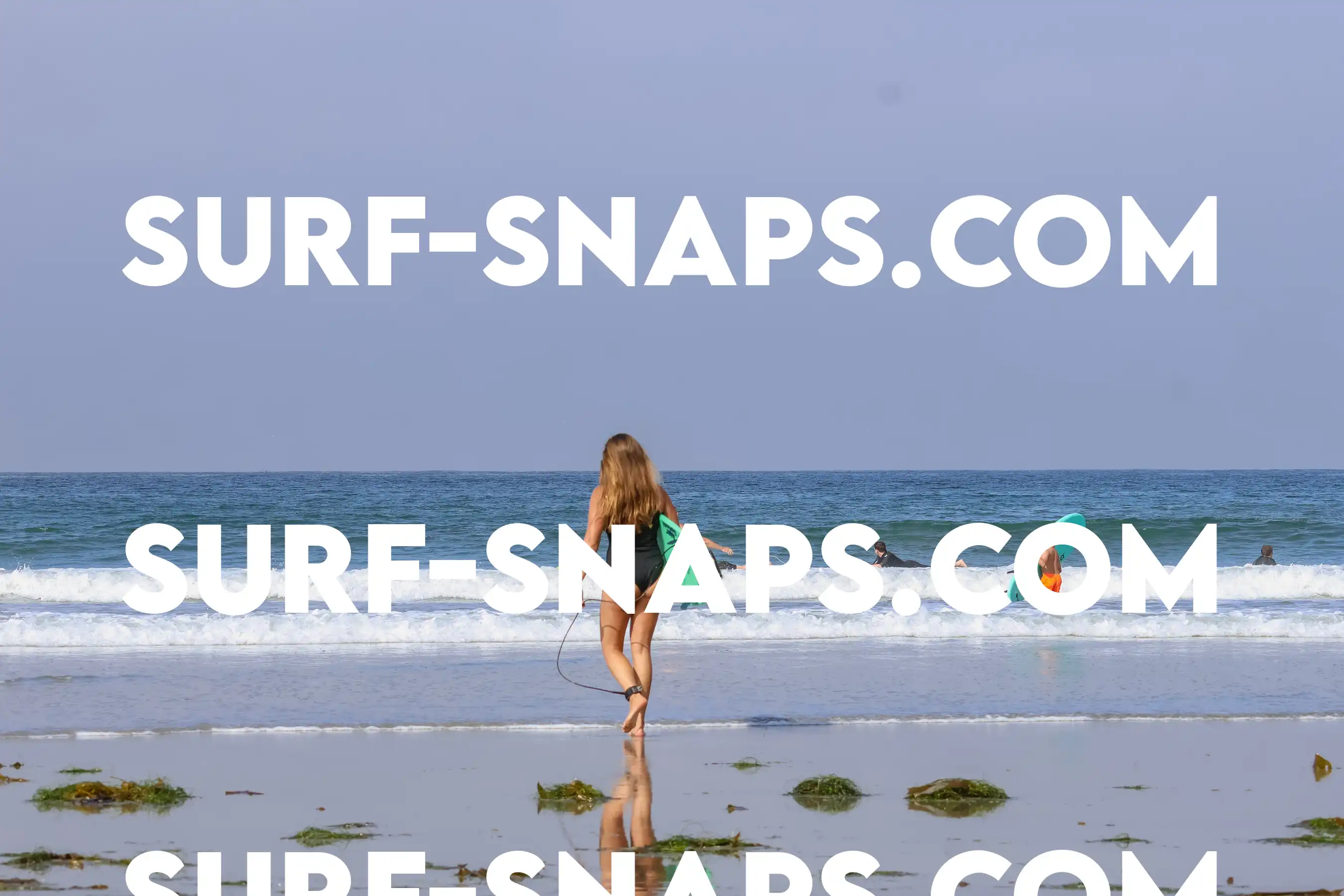 tourmaline Surf park photo 232